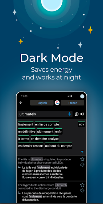 reverso translate and learn dark mode 